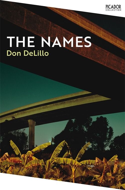 Cover for The Names by Don Delillo